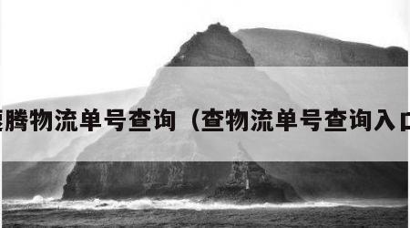 速腾物流单号查询（查物流单号查询入口）