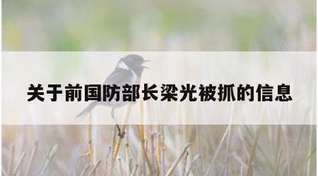 关于前国防部长梁光被抓的信息