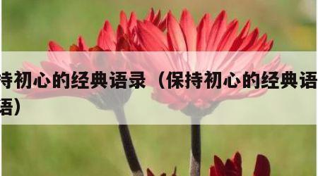 保持初心的经典语录（保持初心的经典语录 论语）