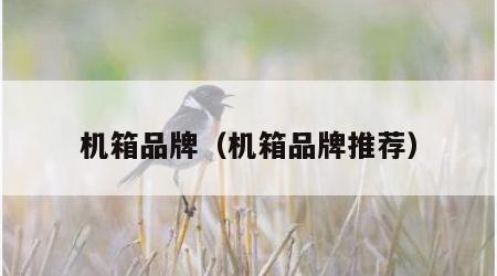 机箱品牌（机箱品牌推荐）