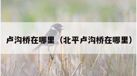卢沟桥在哪里（北平卢沟桥在哪里）