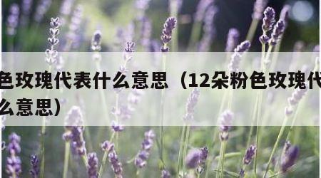 粉色玫瑰代表什么意思（12朵粉色玫瑰代表什么意思）