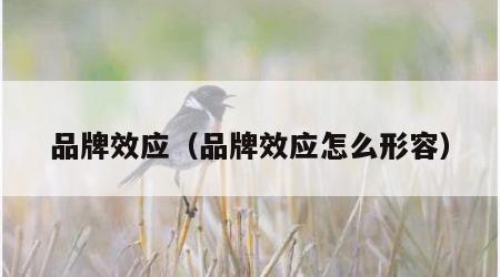 品牌效应（品牌效应怎么形容）
