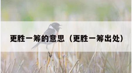 更胜一筹的意思（更胜一筹出处）