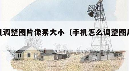 手机调整图片像素大小（手机怎么调整图片像素）