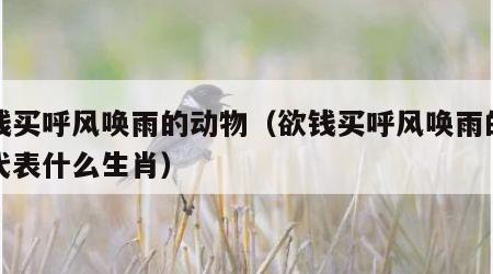 欲钱买呼风唤雨的动物（欲钱买呼风唤雨的动物代表什么生肖）
