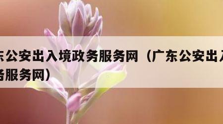 广东公安出入境政务服务网（广东公安出入境政务服务网）