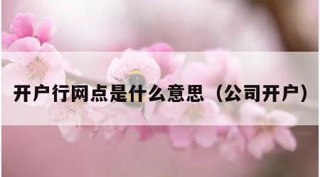 开户行网点是什么意思（公司开户）
