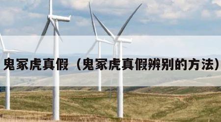 鬼冢虎真假（鬼冢虎真假辨别的方法）
