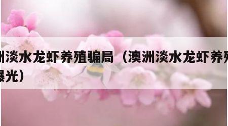 澳洲淡水龙虾养殖骗局（澳洲淡水龙虾养殖骗局曝光）