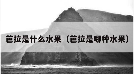 芭拉是什么水果（芭拉是哪种水果）