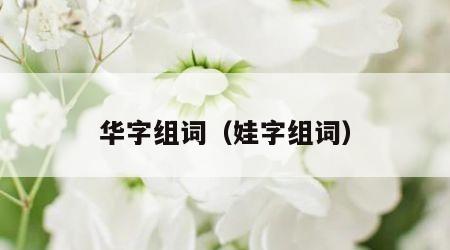 华字组词（娃字组词）