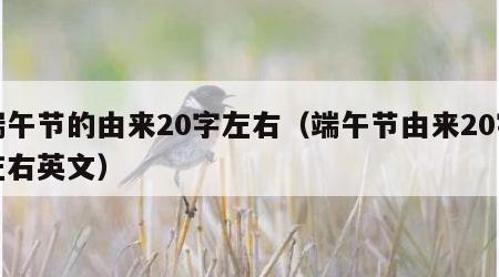 端午节的由来20字左右（端午节由来20字左右英文）