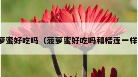 菠萝蜜好吃吗（菠萝蜜好吃吗和榴莲一样吗）