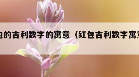 红包的吉利数字的寓意（红包吉利数字寓意寄语）
