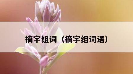 摘字组词（摘字组词语）