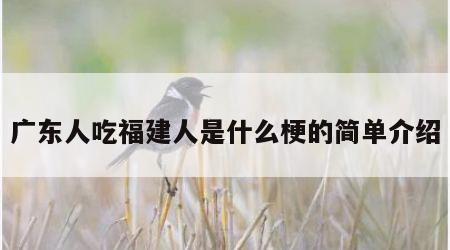 广东人吃福建人是什么梗的简单介绍