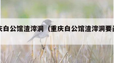 重庆白公馆渣滓洞（重庆白公馆渣滓洞要门票吗）