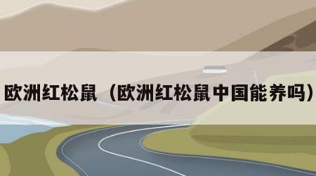 欧洲红松鼠（欧洲红松鼠中国能养吗）