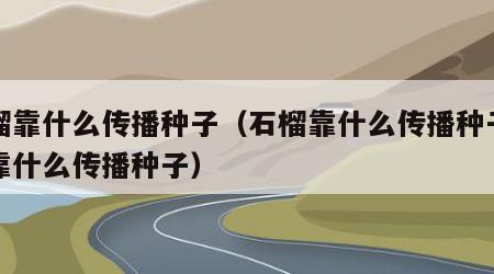 石榴靠什么传播种子（石榴靠什么传播种子豌豆靠什么传播种子）