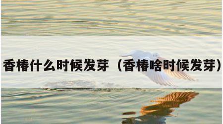 香椿什么时候发芽（香椿啥时候发芽）