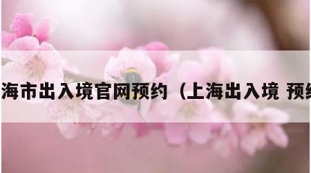 上海市出入境官网预约（上海出入境 预约）