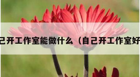自己开工作室能做什么（自己开工作室好吗）