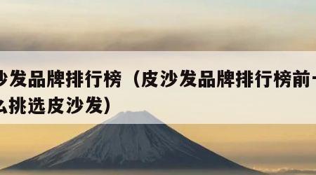 皮沙发品牌排行榜（皮沙发品牌排行榜前十名怎么挑选皮沙发）