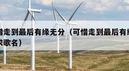 可惜走到最后有缘无分（可惜走到最后有缘无分求歌名）
