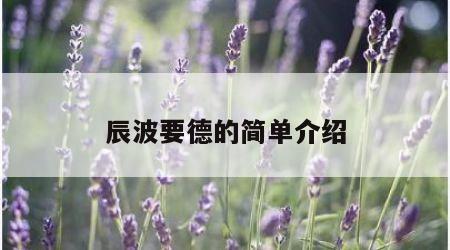 辰波要德的简单介绍