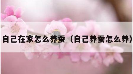 自己在家怎么养蚕（自己养蚕怎么养）