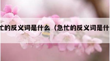 急忙的反义词是什么（急忙的反义词是什么?）