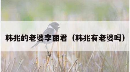 韩兆的老婆李丽君（韩兆有老婆吗）