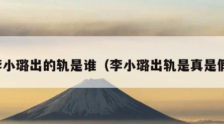 李小璐出的轨是谁（李小璐出轨是真是假）