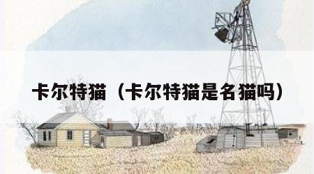 卡尔特猫（卡尔特猫是名猫吗）