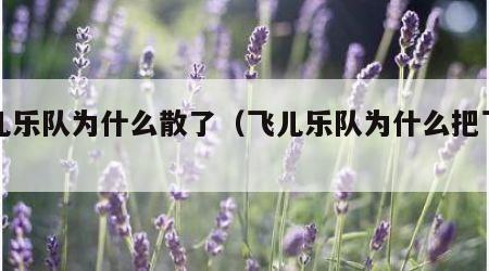 飞儿乐队为什么散了（飞儿乐队为什么把飞儿）