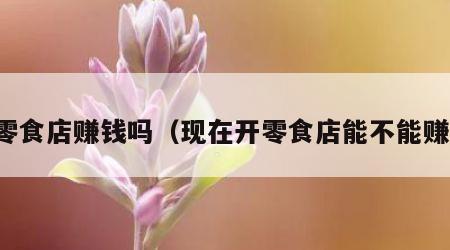 开零食店赚钱吗（现在开零食店能不能赚钱）