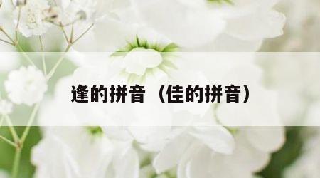 逢的拼音（佳的拼音）