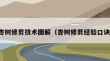 杏树修剪技术图解（杏树修剪经验口诀）