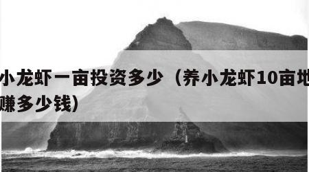 养小龙虾一亩投资多少（养小龙虾10亩地一年赚多少钱）