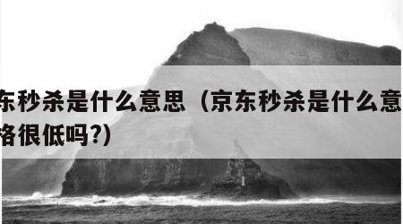 京东秒杀是什么意思（京东秒杀是什么意思 价格很低吗?）