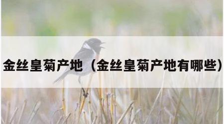 金丝皇菊产地（金丝皇菊产地有哪些）