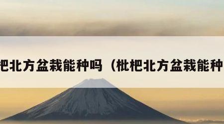 枇杷北方盆栽能种吗（枇杷北方盆栽能种吗）