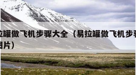 易拉罐做飞机步骤大全（易拉罐做飞机步骤大全图片）