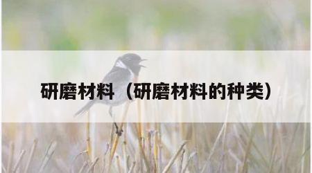 研磨材料（研磨材料的种类）
