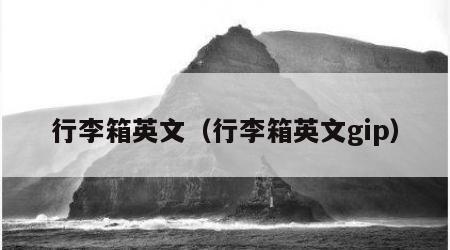 行李箱英文（行李箱英文gip）