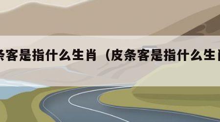 皮条客是指什么生肖（皮条客是指什么生肖动物）