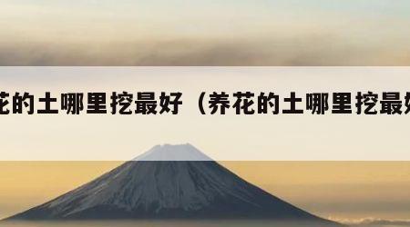 养花的土哪里挖最好（养花的土哪里挖最好用）
