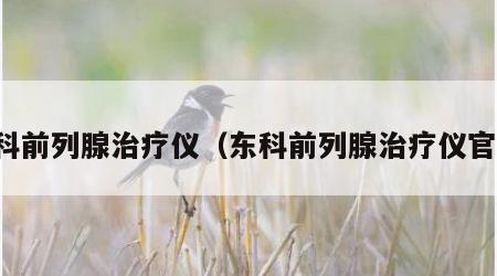 东科前列腺治疗仪（东科前列腺治疗仪官网）