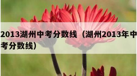 2013湖州中考分数线（湖州2013年中考分数线）
